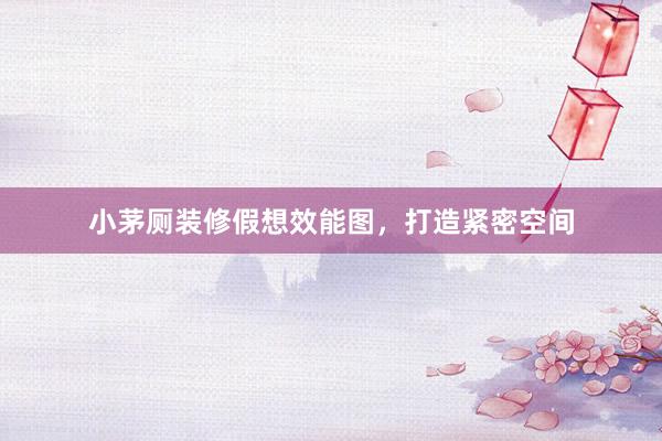 小茅厕装修假想效能图，打造紧密空间