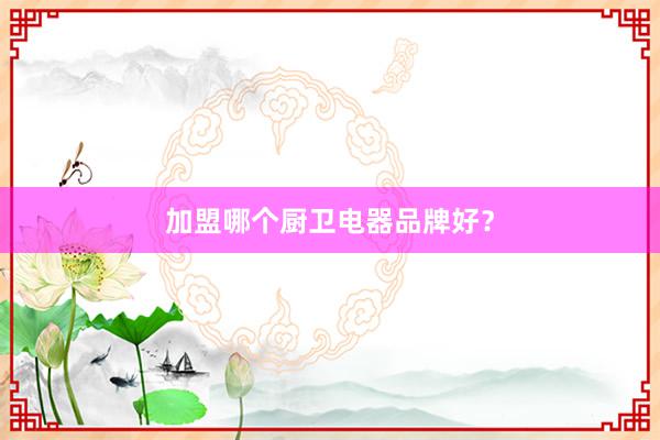 加盟哪个厨卫电器品牌好？
