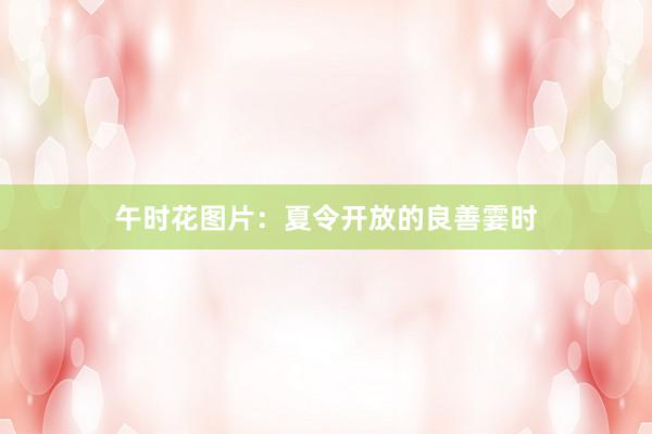 午时花图片：夏令开放的良善霎时